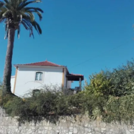Casa Da Palmeira Outeiro da Corticada Exterior photo