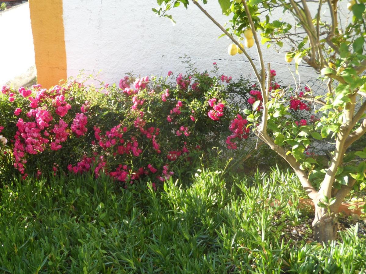 Casa Da Palmeira Outeiro da Corticada