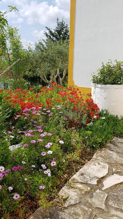 Casa Da Palmeira Holiday home