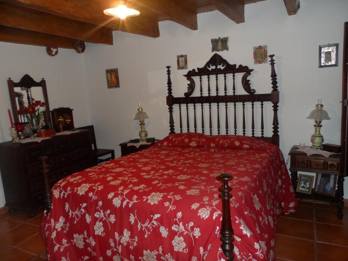 Casa Da Palmeira *