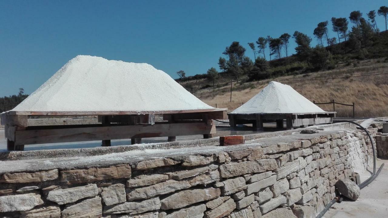 Casa Da Palmeira Holiday home *