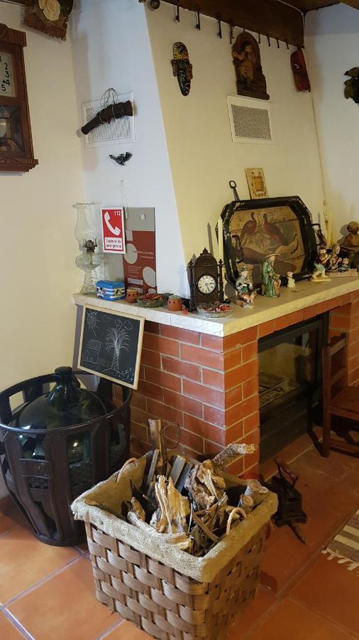 Casa Da Palmeira *