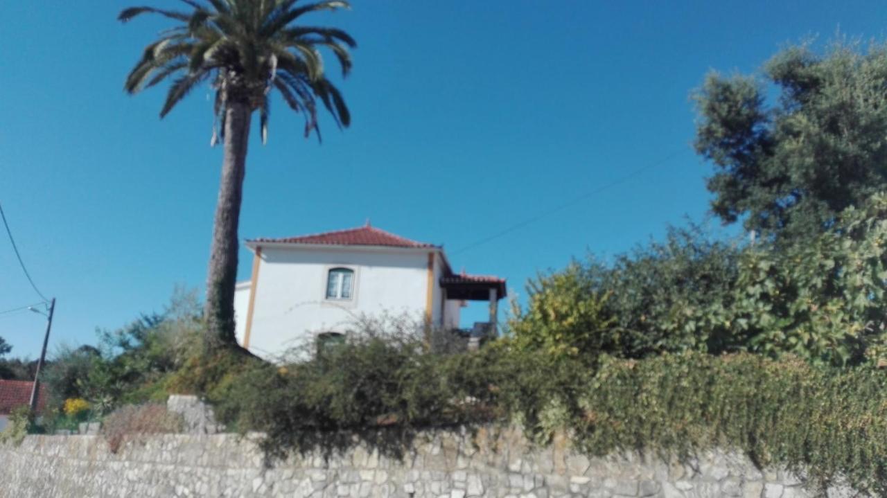 Casa Da Palmeira *