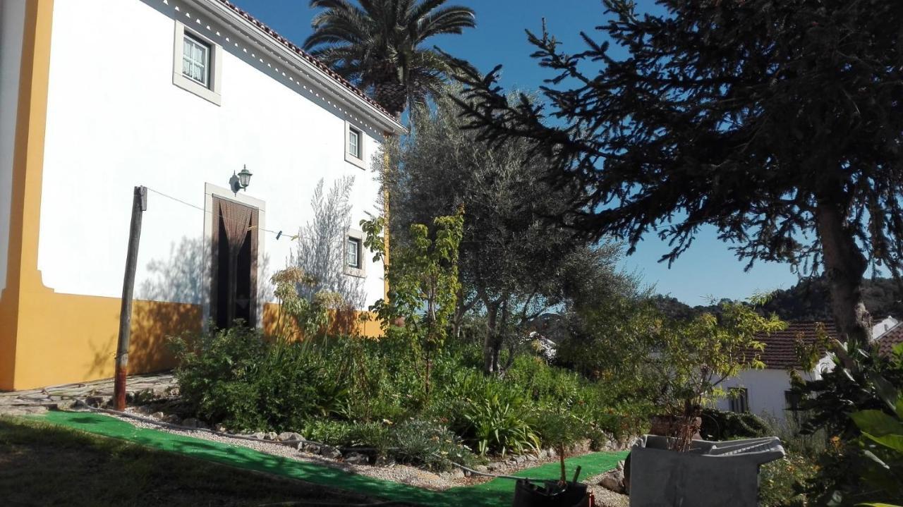 Casa Da Palmeira *